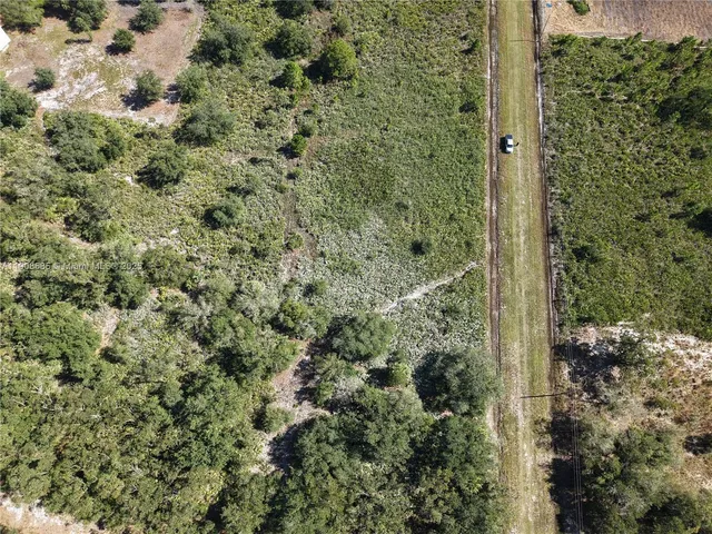 a view of a forest with a bench
