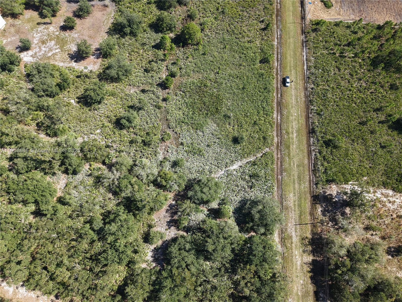 15527 Northwest 252nd Street Okeechobee, FL 34972 - Photo 11 of 32 a view of a forest