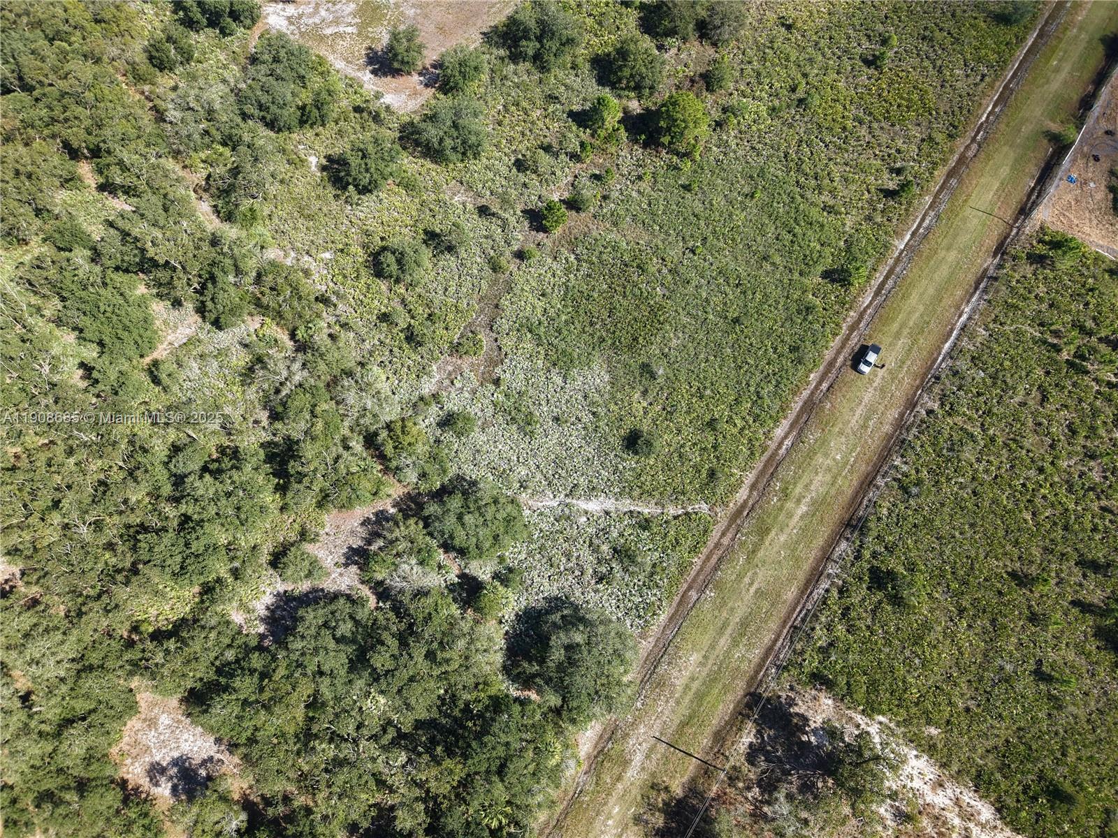 15527 Northwest 252nd Street Okeechobee, FL 34972 - Photo 12 of 32 a view of a forest with a bench