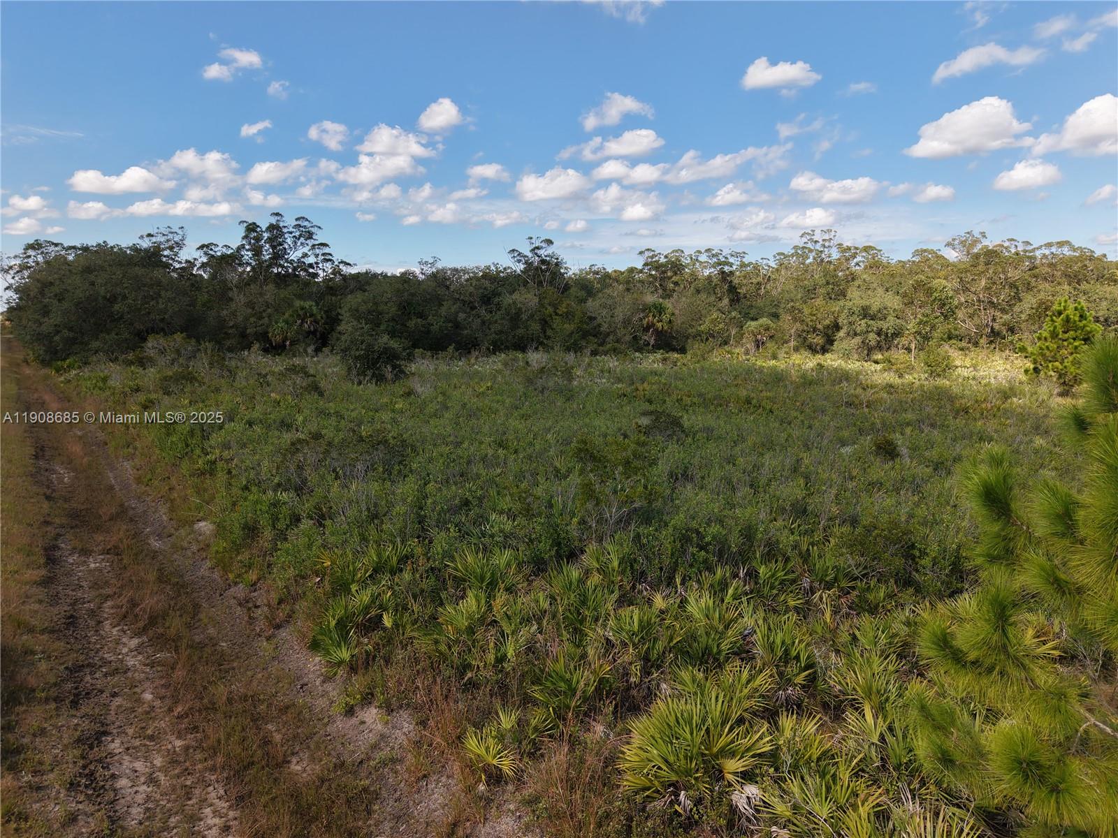 15527 Northwest 252nd Street Okeechobee, FL 34972 - Photo 29 of 32 a view of a city with lush green forest
