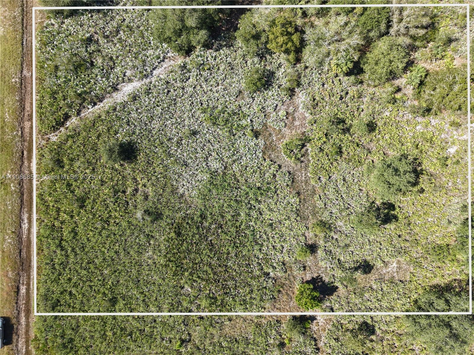 15527 Northwest 252nd Street Okeechobee, FL 34972 - Photo 30 of 32