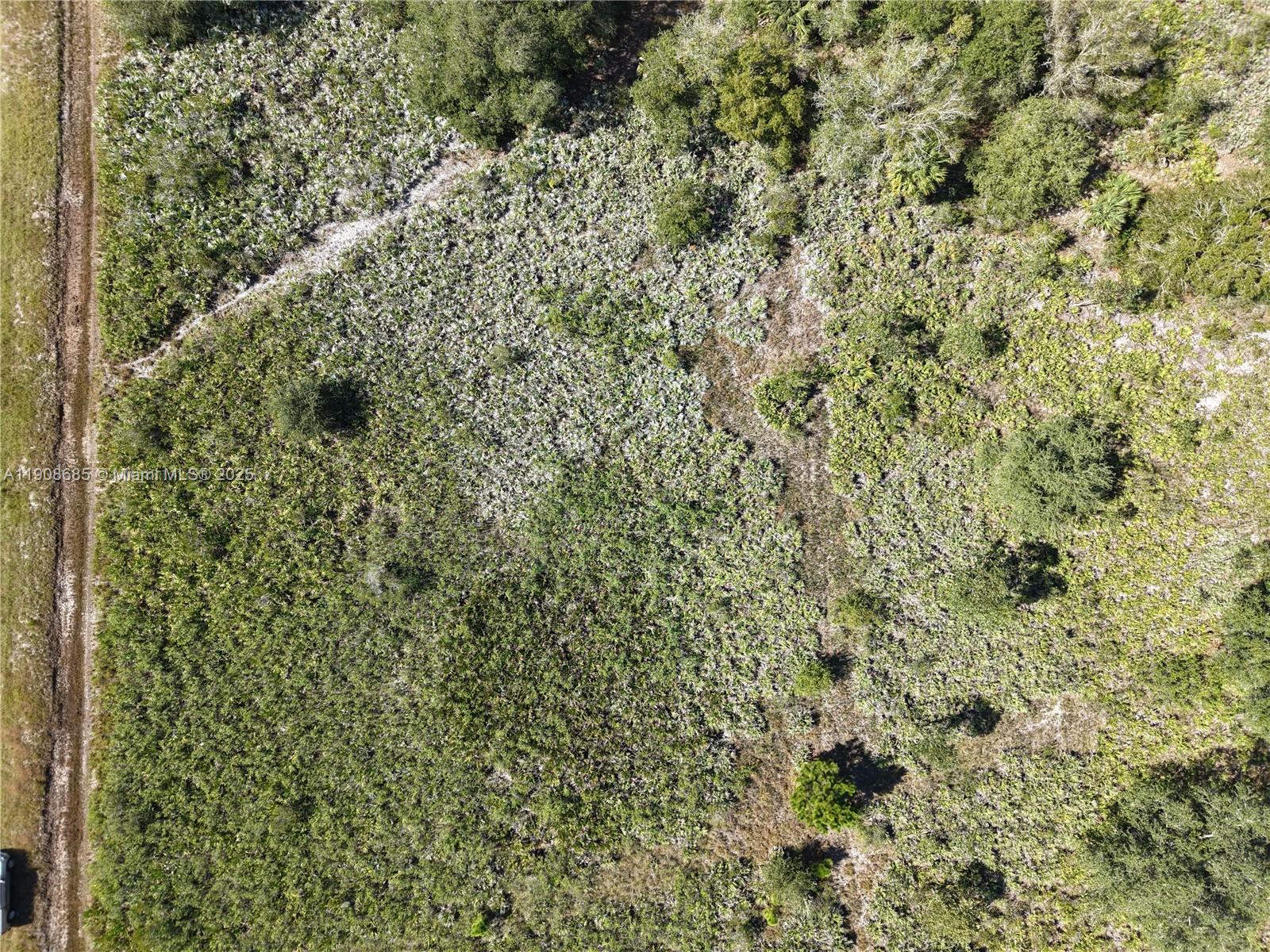 15527 Northwest 252nd Street Okeechobee, FL 34972 - Photo 3 of 32