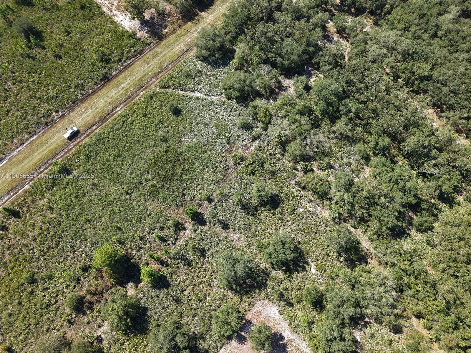 15527 Northwest 252nd Street Okeechobee, FL 34972 - Photo 6 of 32 a view of a forest from a window