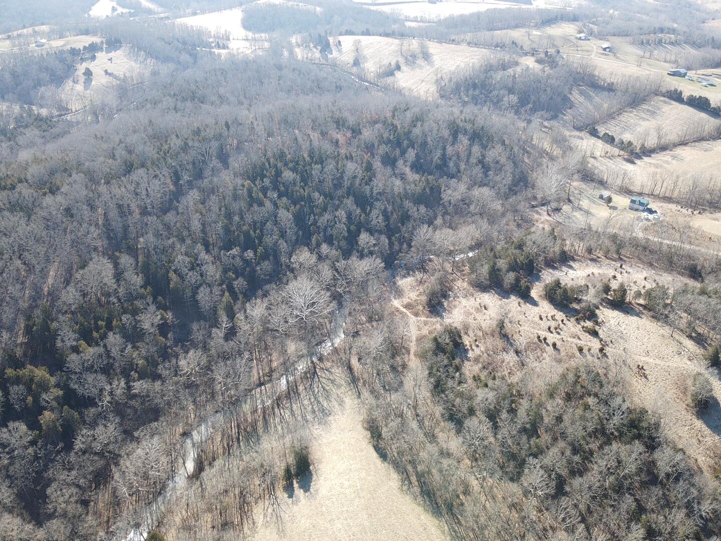 1883 Ogden Ridge Road Mount Olivet, KY 41064 - Photo 5 of 19 Overhead
