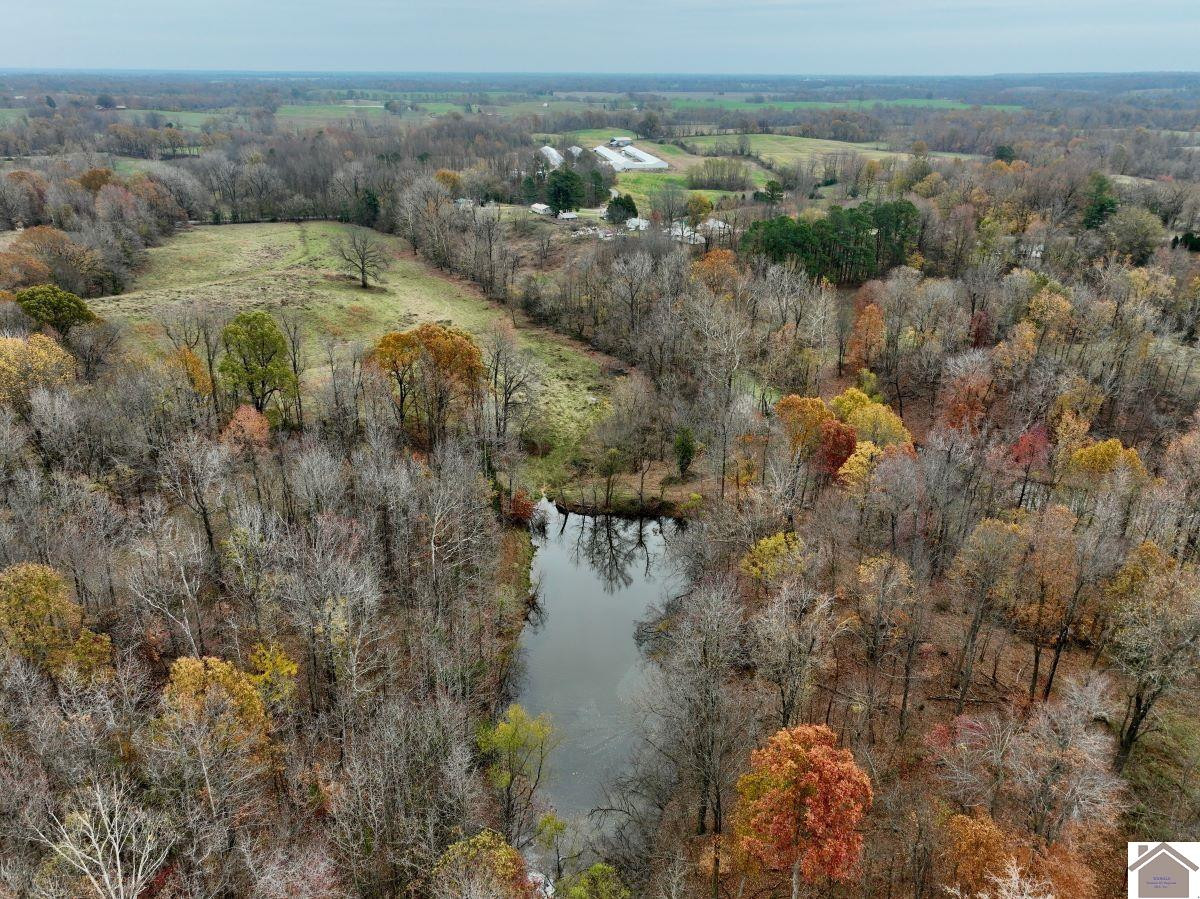 0 Beech Grove Road Hickman, KY 42050 - Photo 15 of 35 Photo 15