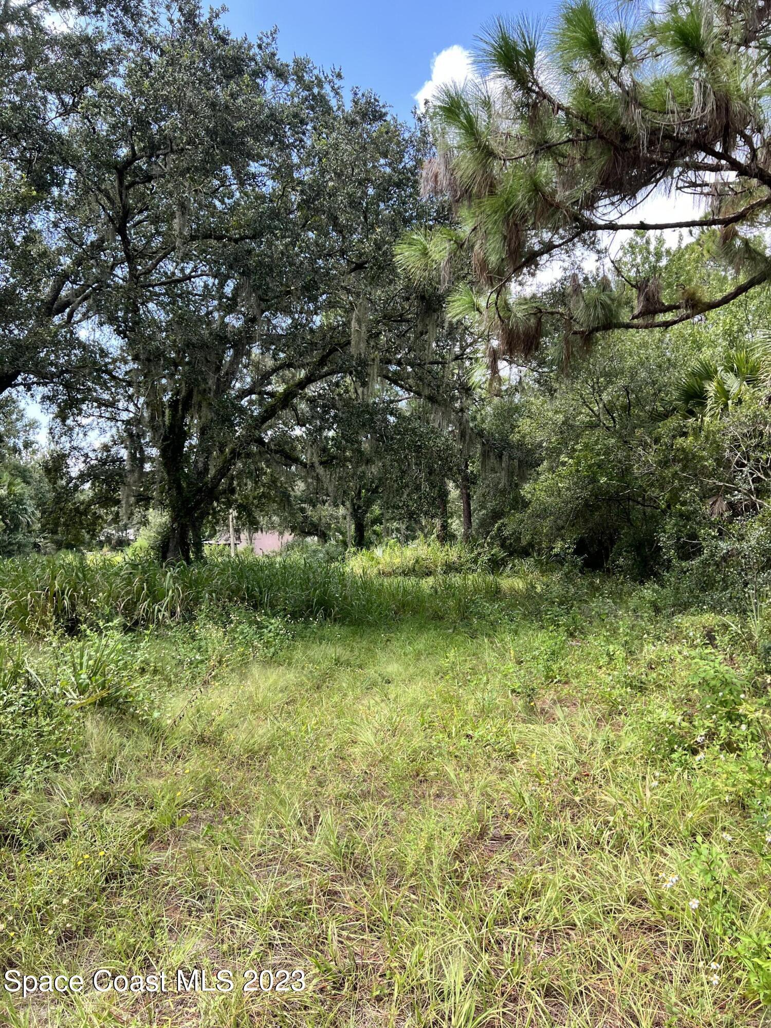 2293 Cox Road Cocoa, FL 32926 - Photo 12 of 18 a view of outdoor space and trees