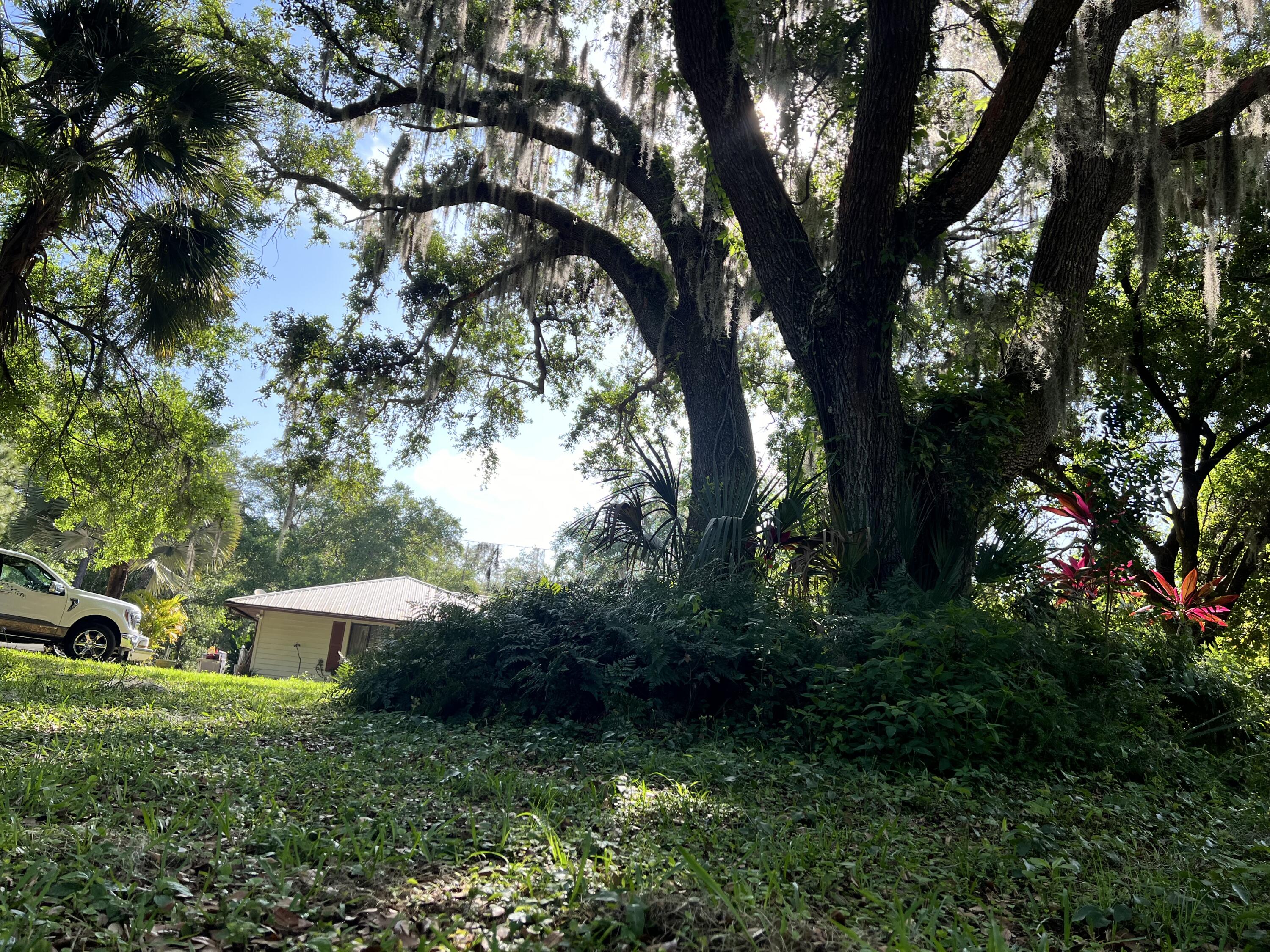 2293 Cox Road Cocoa, FL 32926 - Photo 15 of 18 a view of a house with a yard