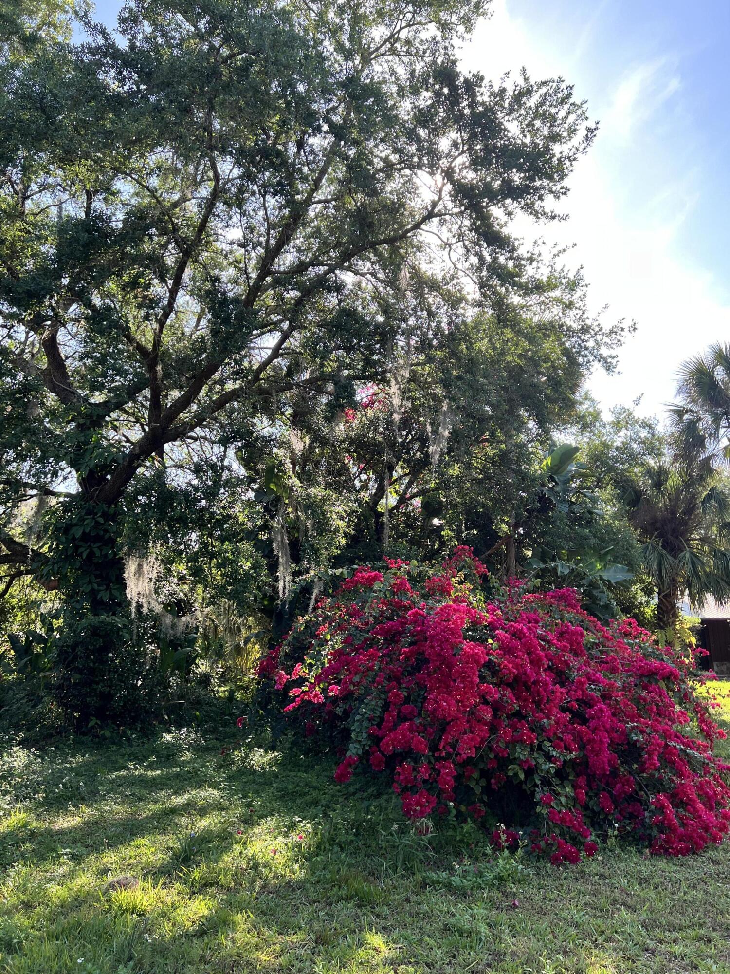 2293 Cox Road Cocoa, FL 32926 - Photo 3 of 18 a view of outdoor space and yard