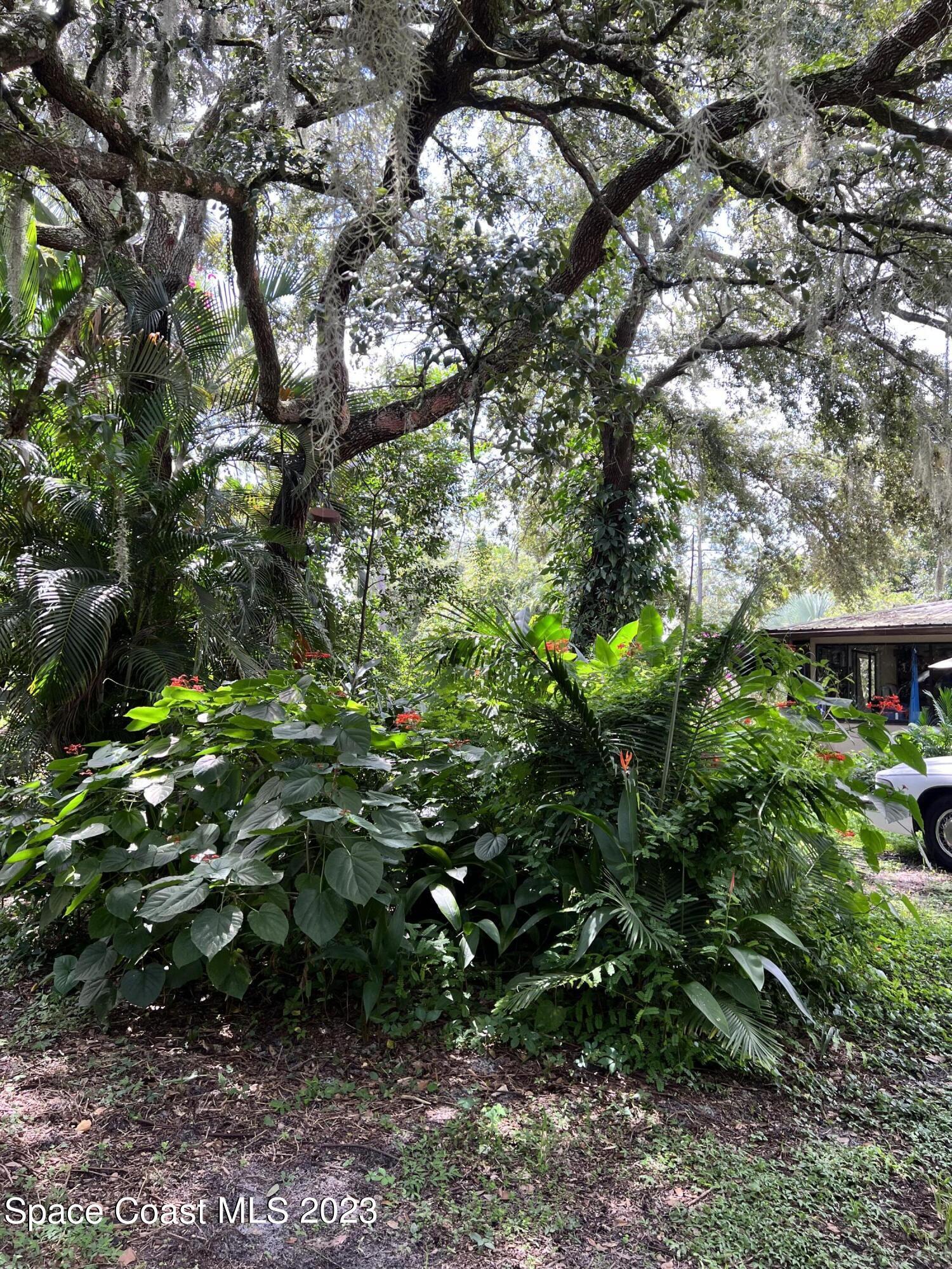 2293 Cox Road Cocoa, FL 32926 - Photo 6 of 18 a view of flowers in a garden