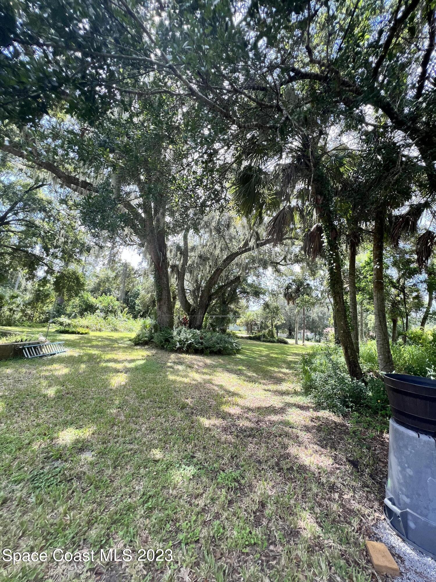 2293 Cox Road Cocoa, FL 32926 - Photo 7 of 18 a view of a trees with a yard