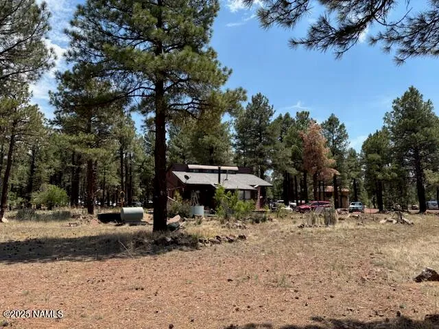 a view of outdoor space with trees