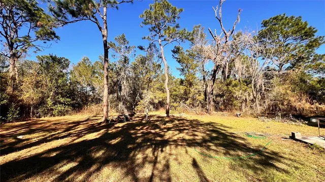 a view of outdoor space with mountain view