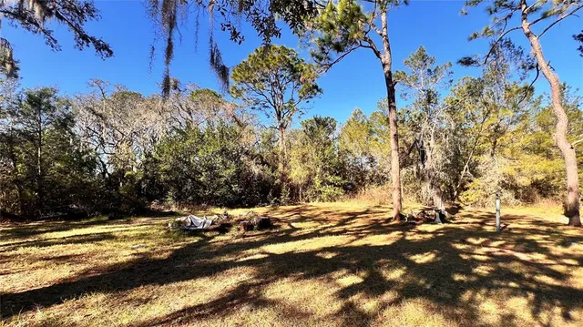a view of a yard with an empty space