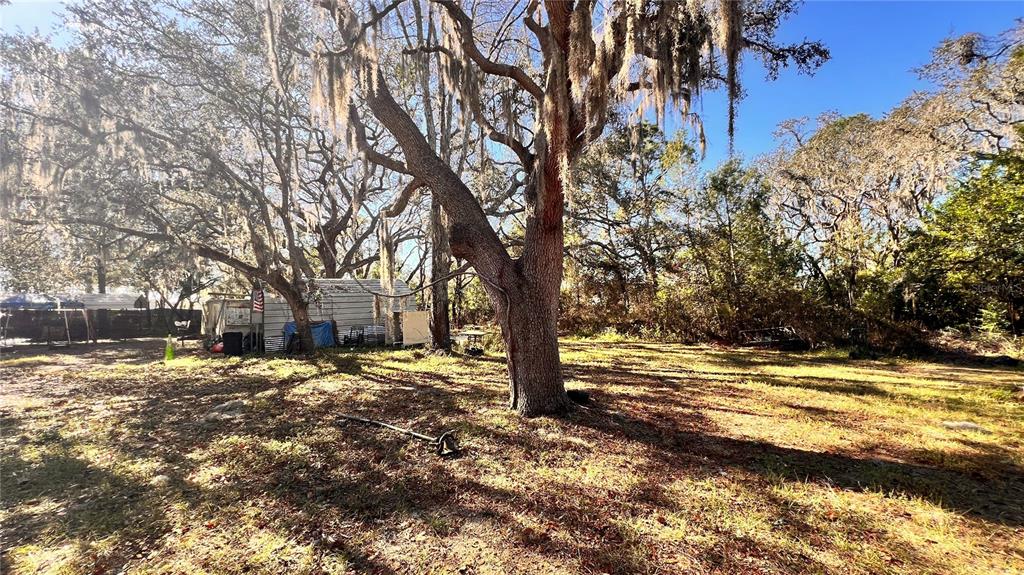 1089 Anderson Snow Road Spring Hill, FL 34609 - Photo 7 of 9