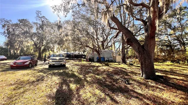 a view of a yard with trees in the patio