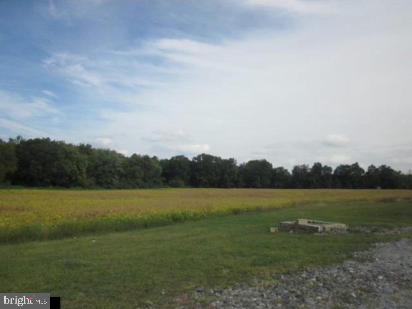 10 Biddle Road Salem, NJ 08079 - Photo 19 of 19