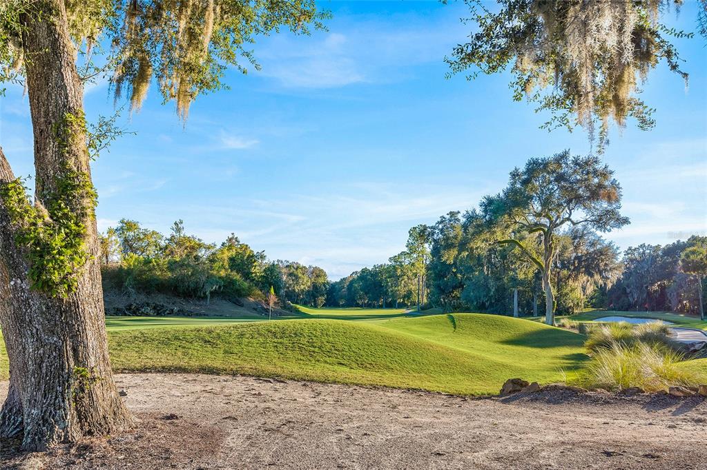 10067 Southwest 52nd Road Gainesville, FL 32608 - Photo 42 of 42