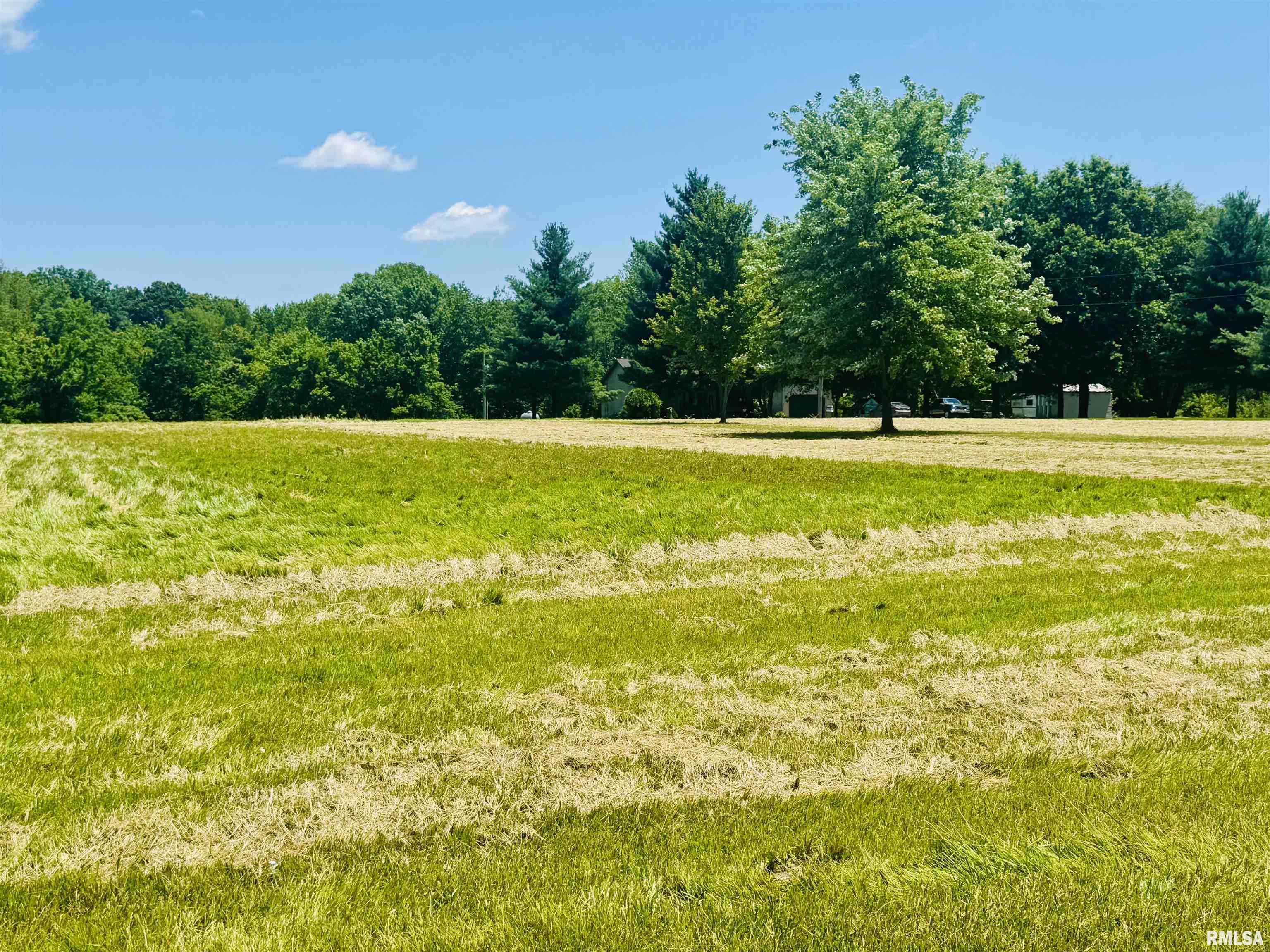 348 Medlin Road Walnut Hill, IL 62893 - Photo 19 of 19