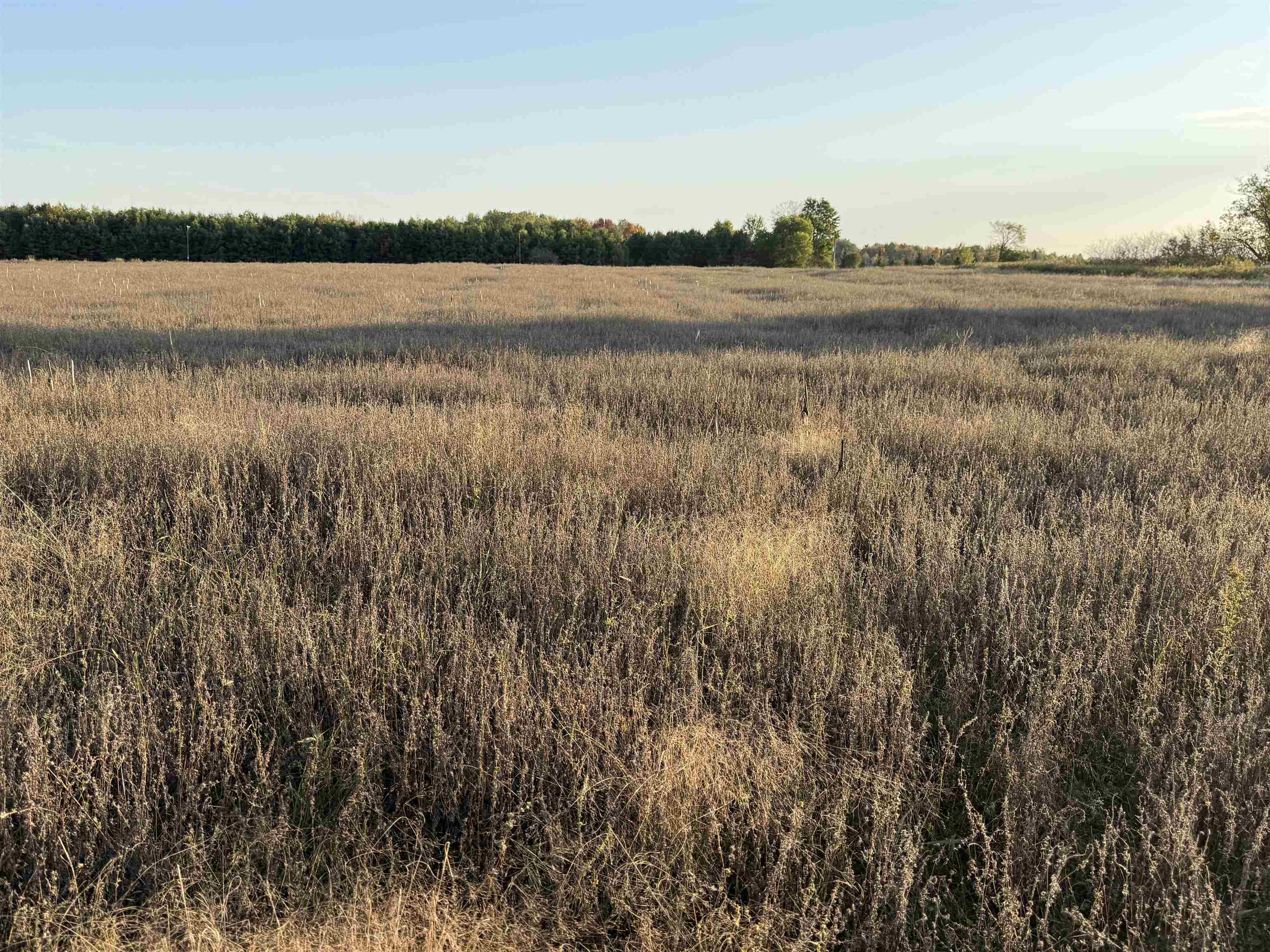 Lot 3 Eau Claire River Road Ringle, WI 54471 - Photo 13 of 19