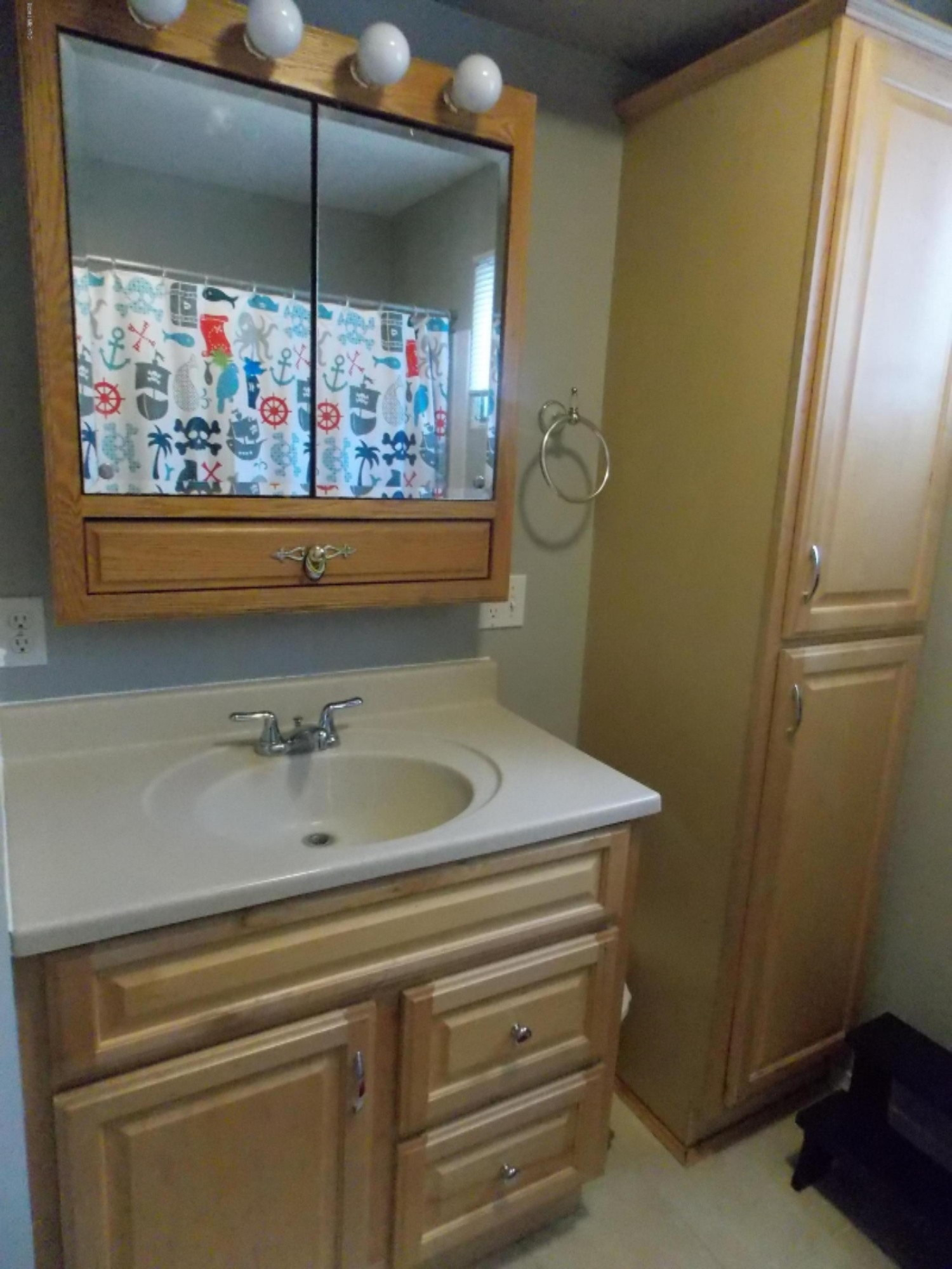 550 Rosewood Avenue Decatur, MI 49045 - Photo 21 of 31 Hall bath