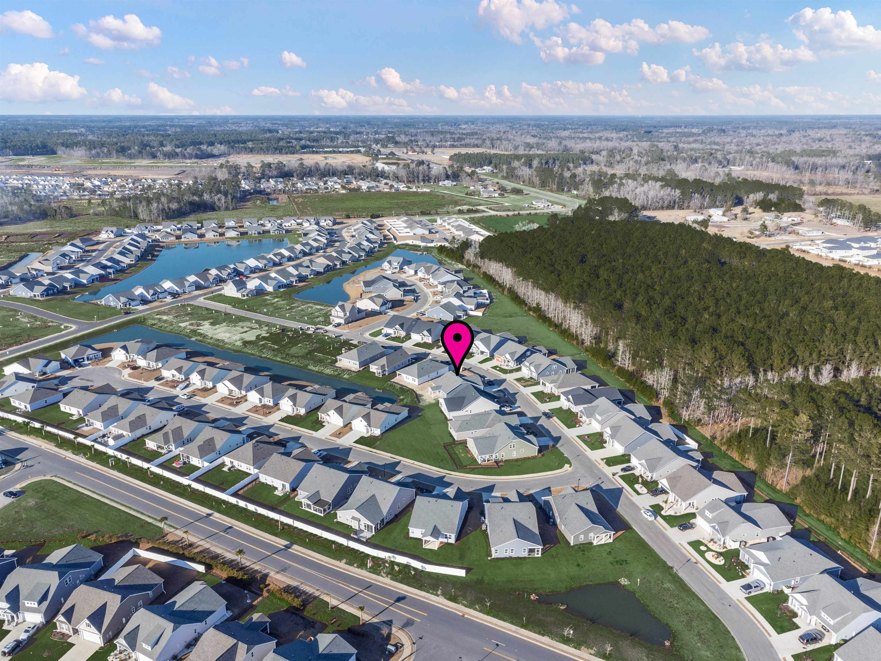 2154 Gooseberry Way Longs, SC 29568 - Photo 6 of 33