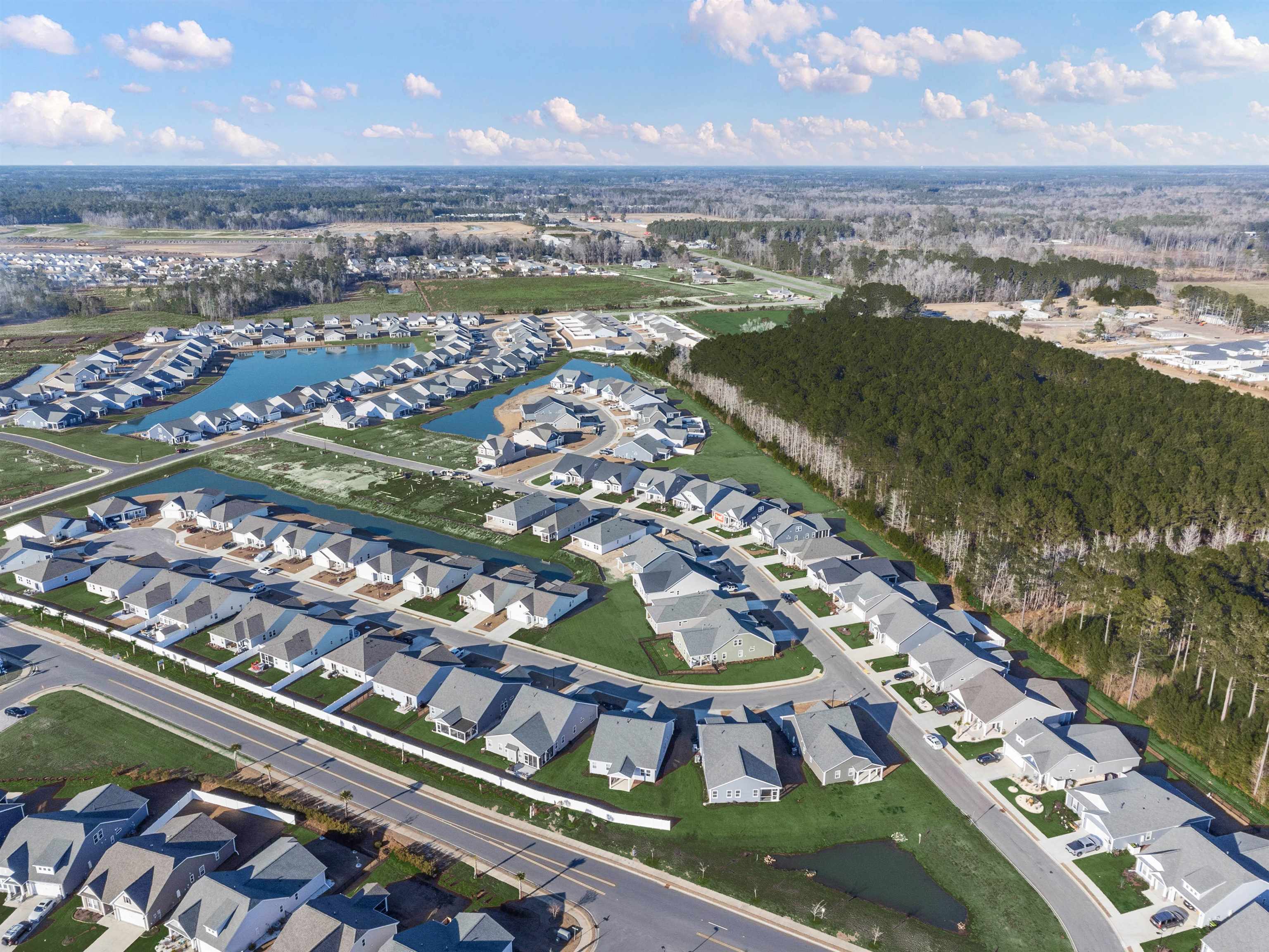 2154 Gooseberry Way Longs, SC 29568 - Photo 7 of 33