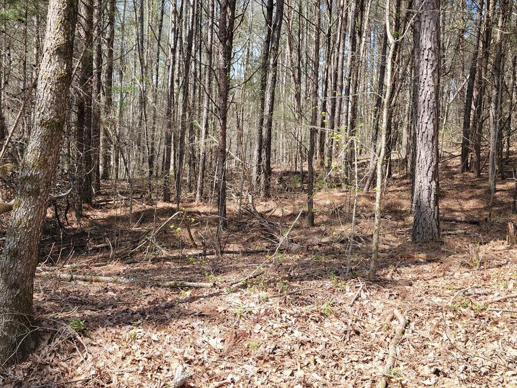 1084 Council Road Northeast Charleston, TN 37310 - Photo 2 of 6 Gallery Image 2