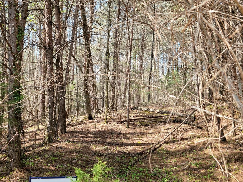1084 Council Road Northeast Charleston, TN 37310 - Photo 3 of 6 Gallery Image 3