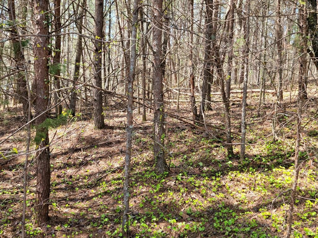 1084 Council Road Northeast Charleston, TN 37310 - Photo 4 of 6 Gallery Image 4