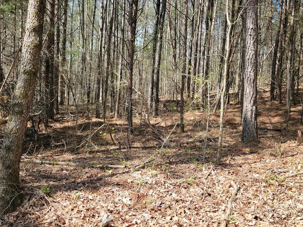 1084 Council Road Northeast Charleston, TN 37310 - Photo 5 of 6 Gallery Image 5
