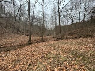 16031 Burcham Road Logan, OH 43138 - Photo 5 of 8 IMG_3485