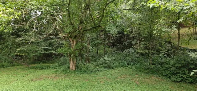 $2,000 | 210 Apache Trail, White House, TN 37188