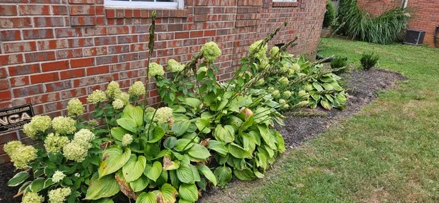 $2,000 | 210 Apache Trail, White House, TN 37188