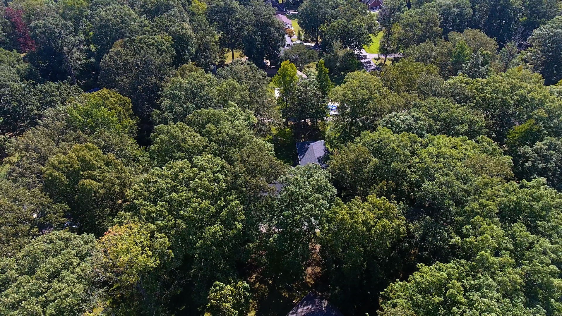 196 Thomas Street Manchester, TN 37355 - Photo 37 of 43 an aerial view of residential house with outdoor space and trees all around