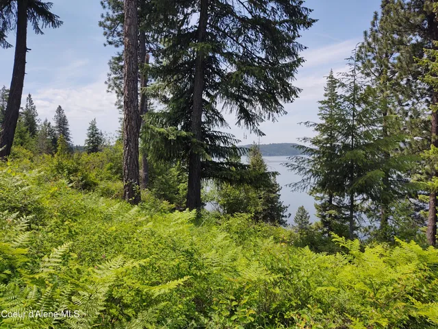 $735,000 | 19-xxx South Headlands Drive, Harrison, ID 83833