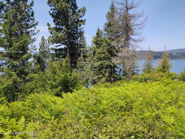 $735,000 | 19-xxx South Headlands Drive, Harrison, ID 83833