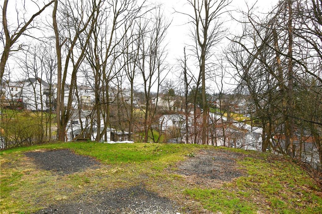 17 Dean Street Carnegie, PA 15106 - Photo 21 of 23 a view of yard with trees