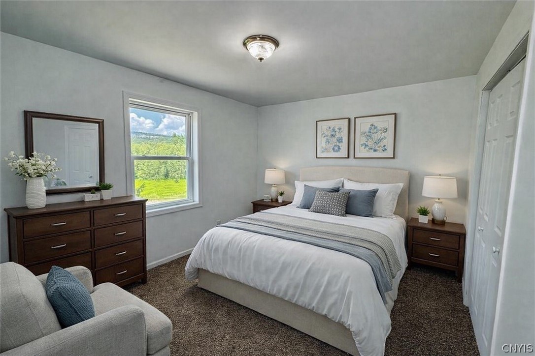 3260 Tuscarora Road Nelson, NY 13061 - Photo 11 of 29 Vision
