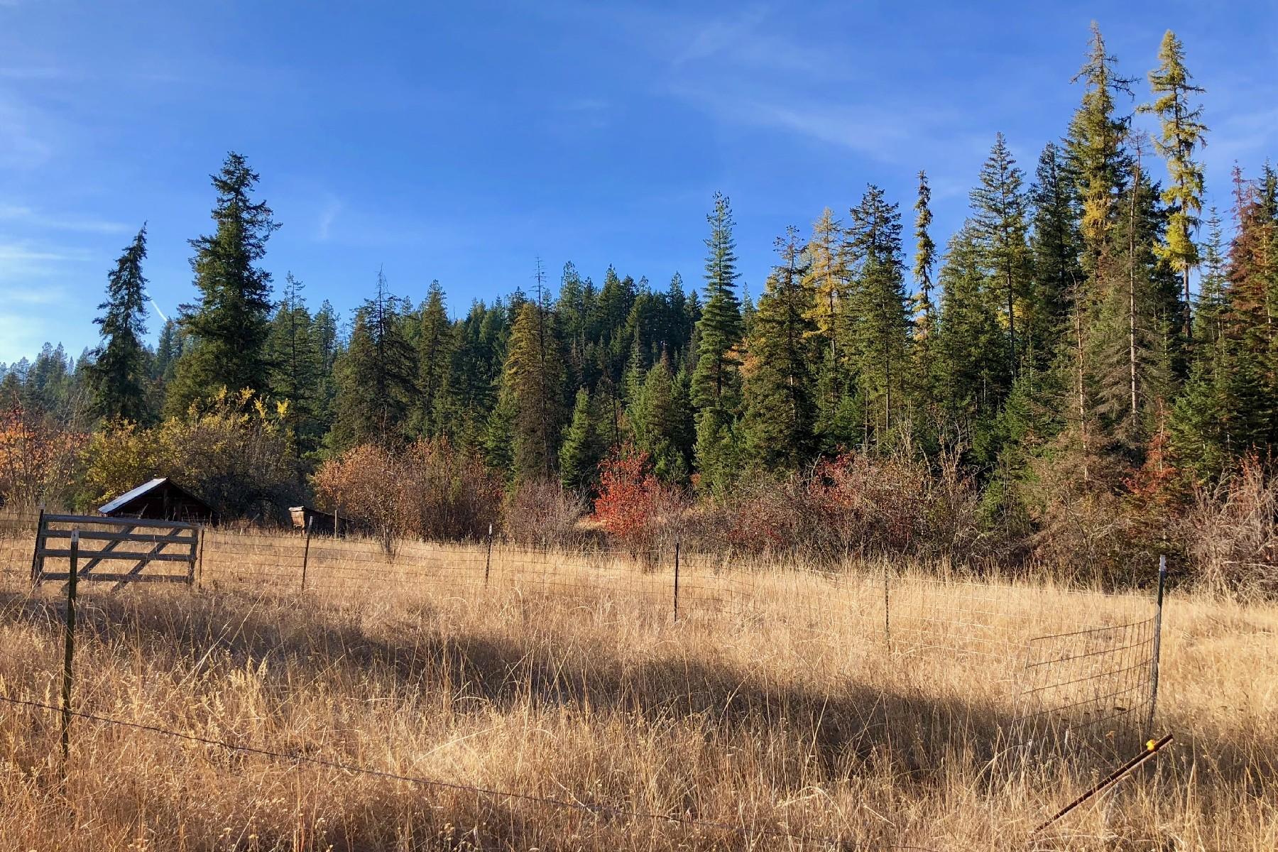 Meadow - A Perfect Pasture
