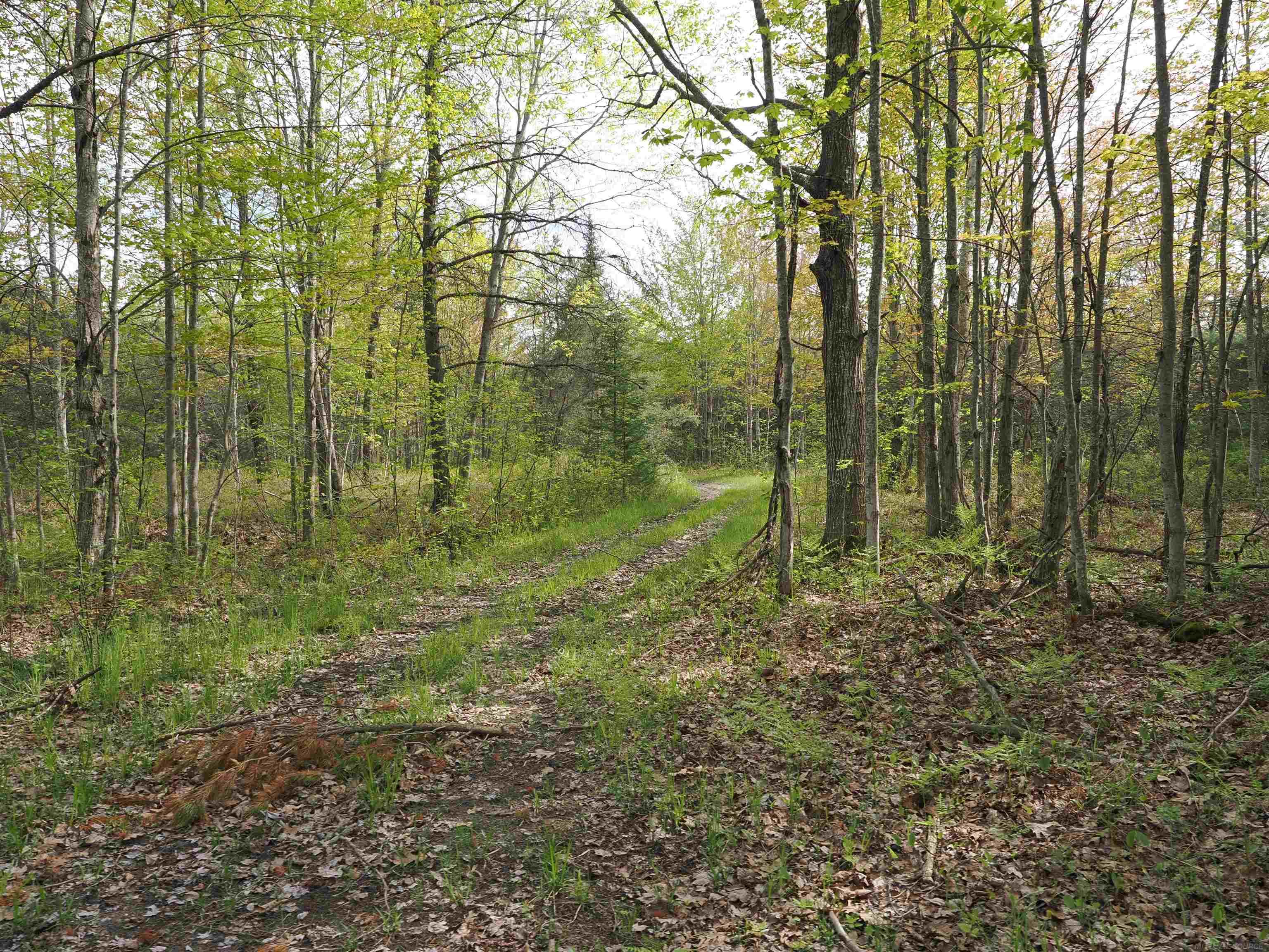 4011 Sandall Road Alpena, MI 49707 - Photo 58 of 73