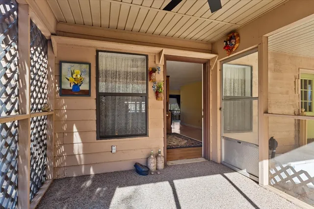 a view of backyard with plants and large trees