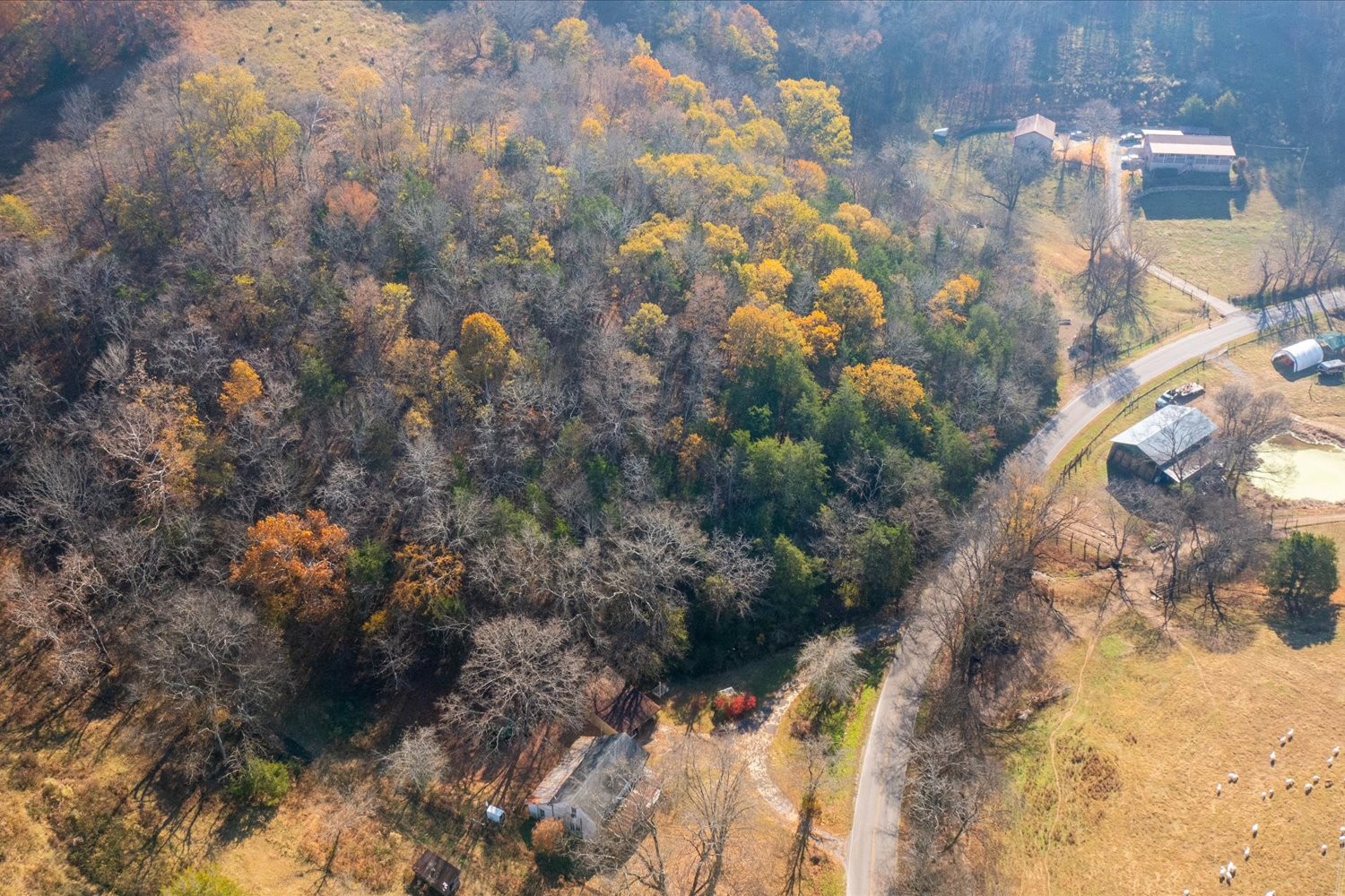 3885 Delina Road Cornersville, TN 37047 - Photo 51 of 67