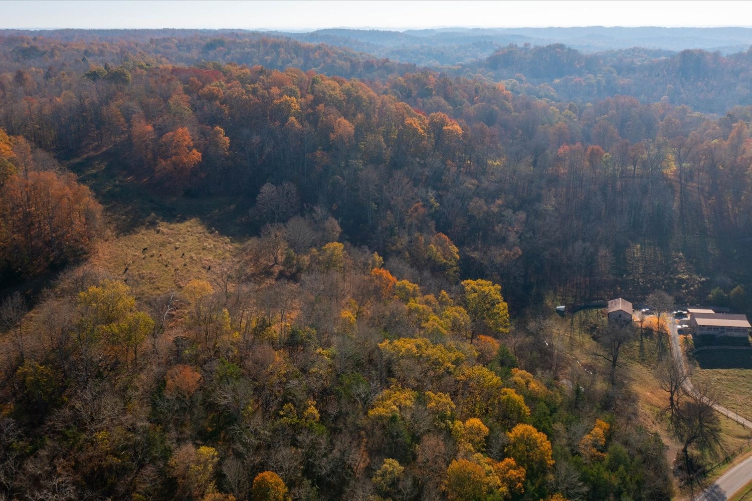3885 Delina Road Cornersville, TN 37047 - Photo 57 of 67 a view of outdoor space and city view