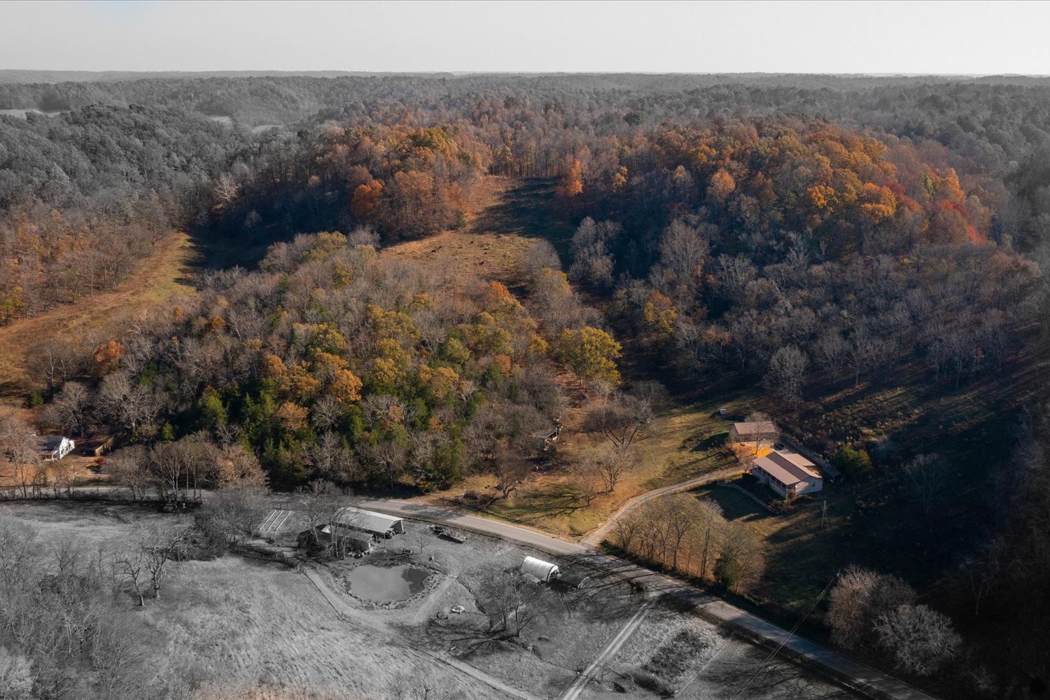 3885 Delina Road Cornersville, TN 37047 - Photo 9 of 67 a view of a dry yard