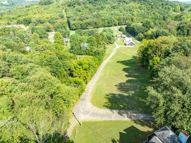 a view of a garden with a yard
