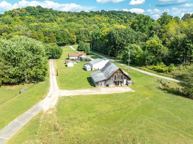 a view of a garden with a tree