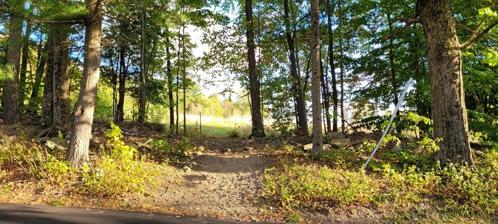 0 Munson Road Chesterfield, MA 01012 - Photo 14 of 20 Gallery Image 14