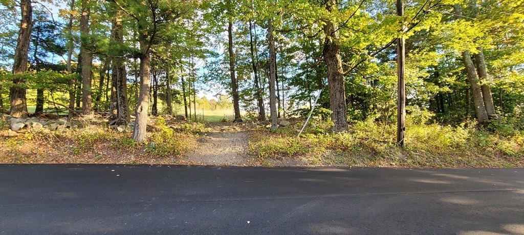 0 Munson Road Chesterfield, MA 01012 - Photo 15 of 20 Gallery Image 15