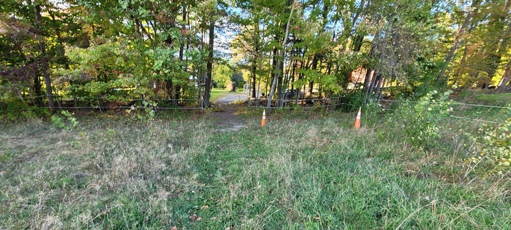 0 Munson Road Chesterfield, MA 01012 - Photo 16 of 20 Gallery Image 16