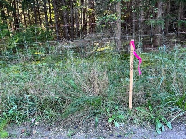 00 North 39th Road Lake City, MI 49651 - Photo 12 of 14